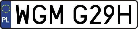 WGMG29H
