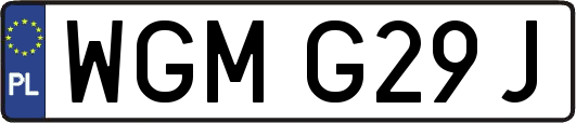 WGMG29J