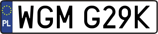 WGMG29K