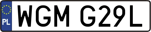 WGMG29L