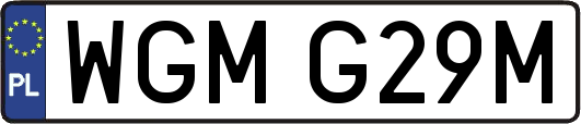 WGMG29M