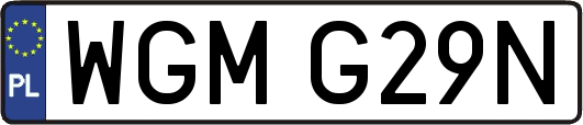 WGMG29N