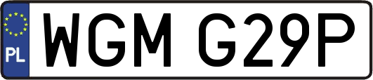 WGMG29P