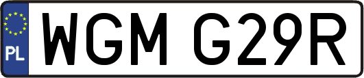 WGMG29R