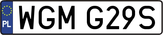 WGMG29S