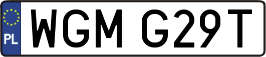 WGMG29T