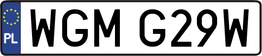 WGMG29W
