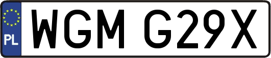 WGMG29X
