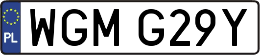 WGMG29Y