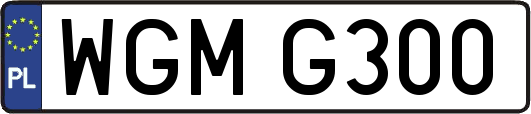WGMG300