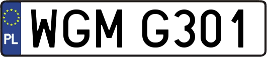 WGMG301