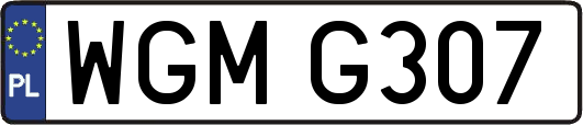 WGMG307