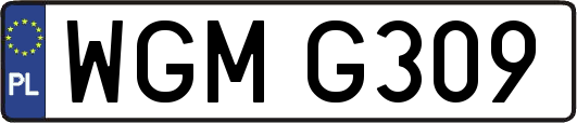 WGMG309
