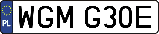 WGMG30E