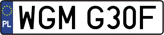 WGMG30F