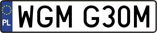 WGMG30M