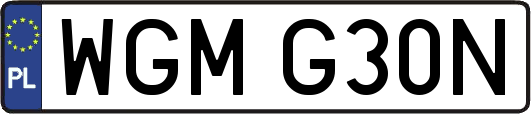 WGMG30N