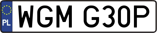WGMG30P