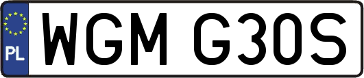 WGMG30S