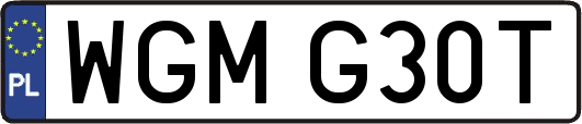 WGMG30T