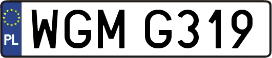 WGMG319
