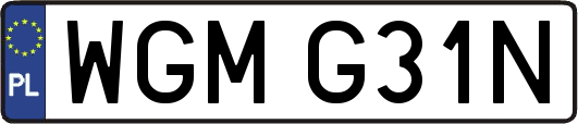 WGMG31N
