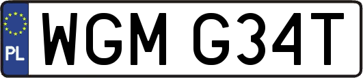 WGMG34T