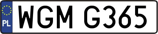 WGMG365