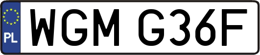 WGMG36F