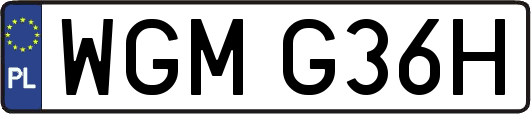 WGMG36H