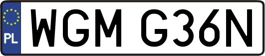 WGMG36N