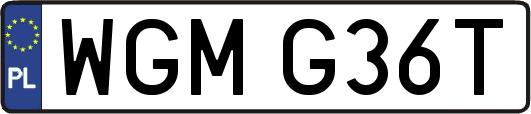 WGMG36T