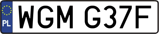 WGMG37F