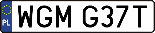WGMG37T