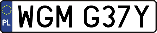 WGMG37Y