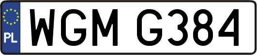 WGMG384