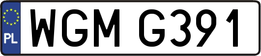 WGMG391