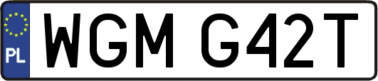WGMG42T