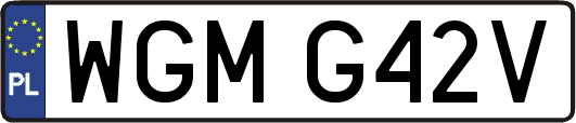 WGMG42V