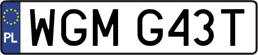 WGMG43T