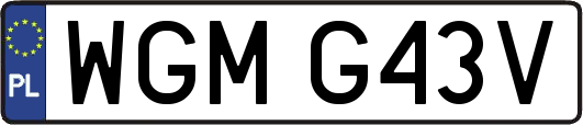 WGMG43V