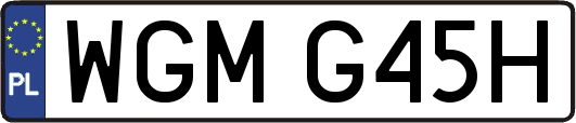 WGMG45H