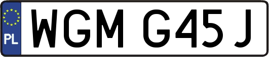 WGMG45J