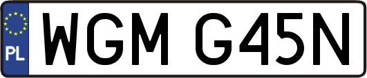 WGMG45N