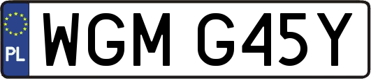 WGMG45Y