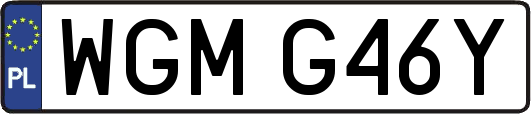WGMG46Y