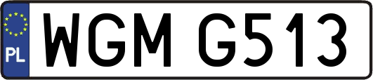 WGMG513