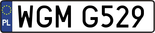 WGMG529