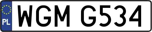 WGMG534