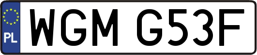 WGMG53F